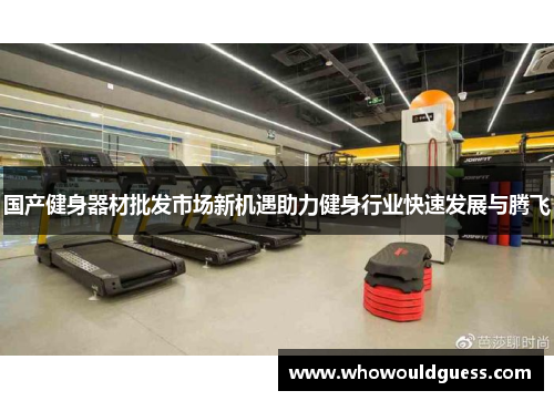 国产健身器材批发市场新机遇助力健身行业快速发展与腾飞