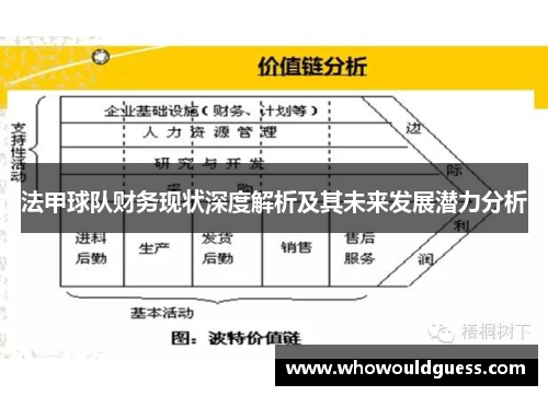 法甲球队财务现状深度解析及其未来发展潜力分析