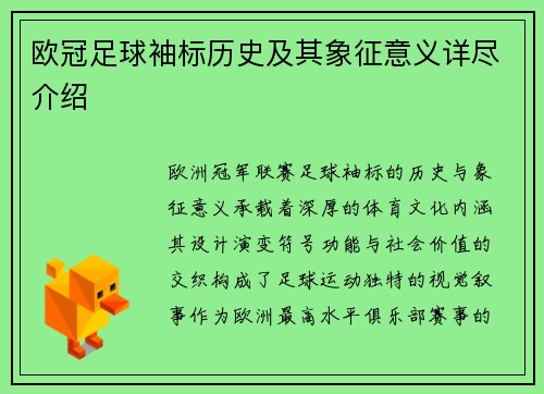 欧冠足球袖标历史及其象征意义详尽介绍